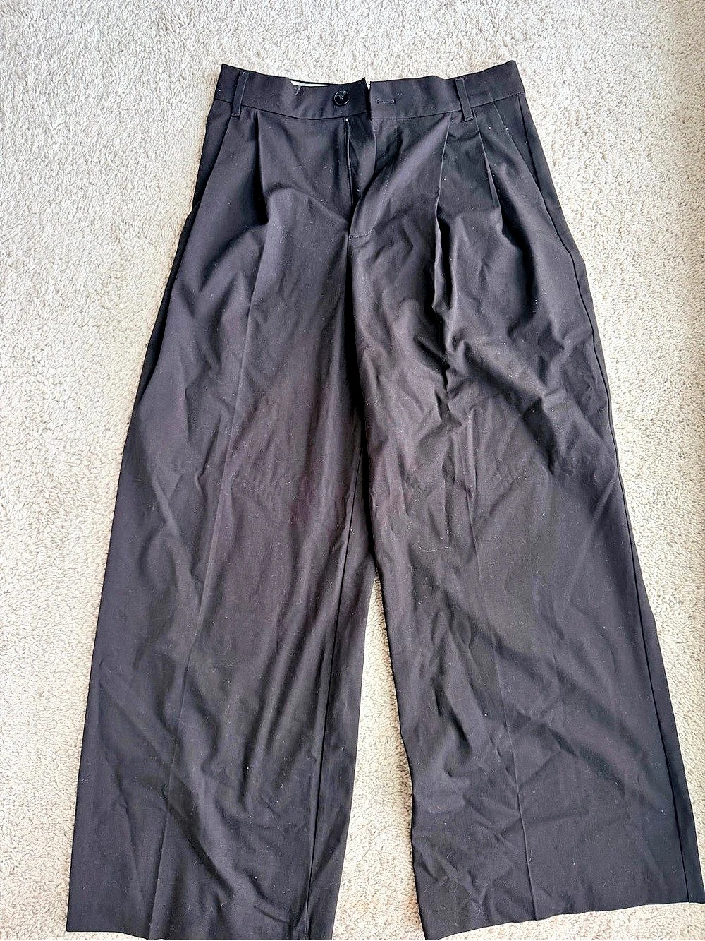 Zara Pleated Wide-Leg Pants Black Size Medium